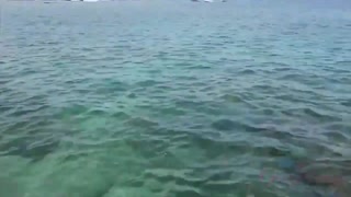 Enjoy Jill Kassidy - Beach BJ & Rough Home Fuck with Hot GF - porn videos on ONE-PORN.COM