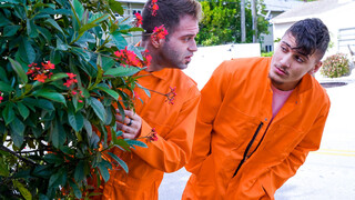 Bucurați-vă de Fugitive Switcheroo - videoclipuri porno pe ONE-PORN.COM